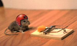mouse_trap_helmet